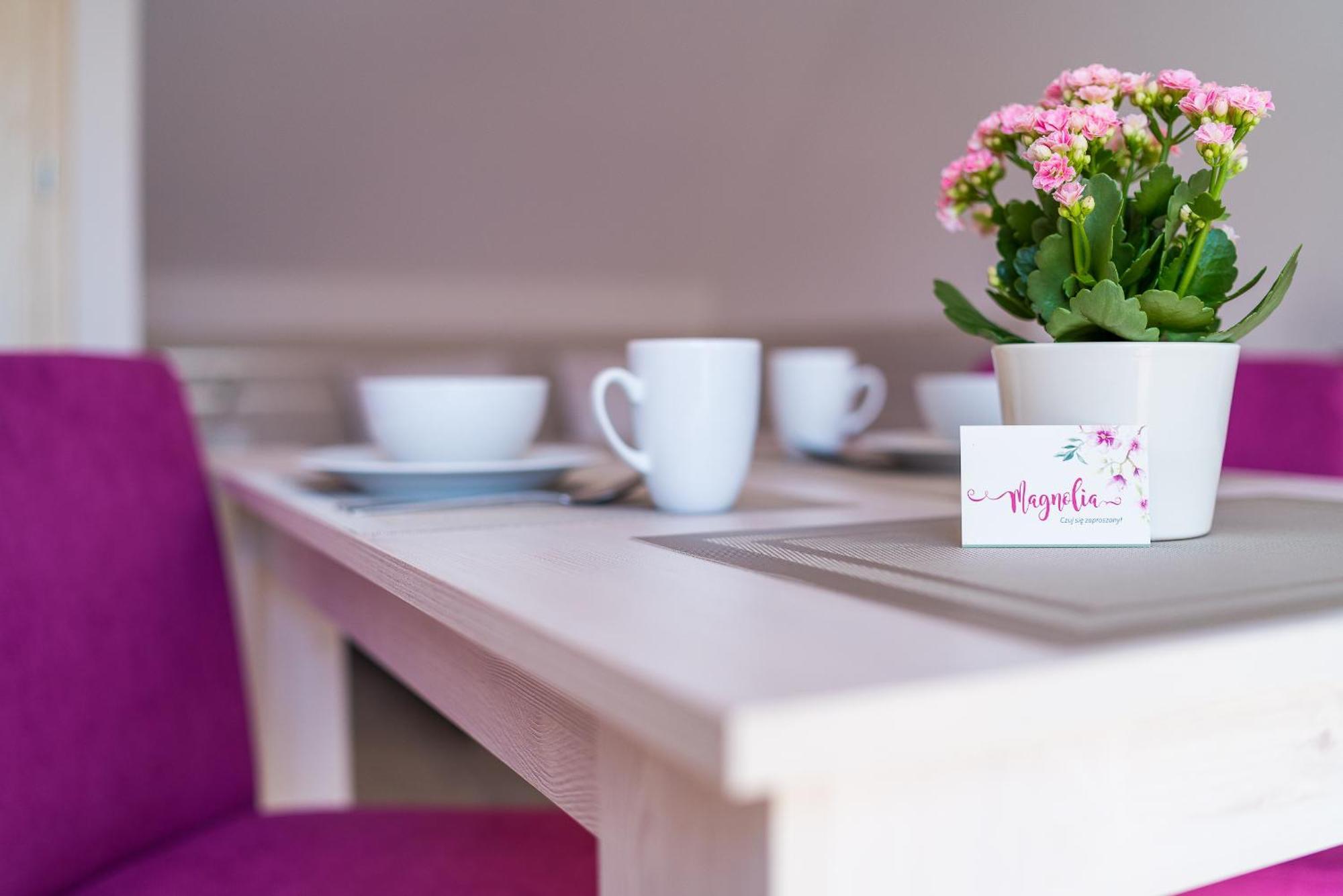 Magnolia Pokoje I Apartamenty Dębki Exterior foto